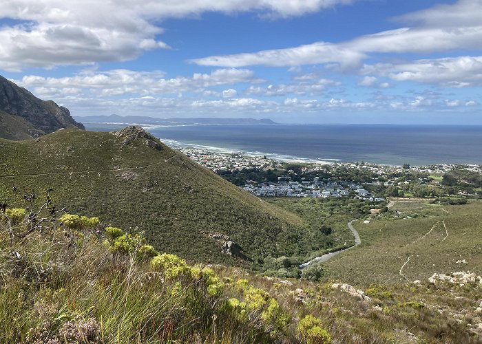 Fernkloof Nature Reserve The Cape Town diaries ~ part 3 – John Alex Clarke photo
