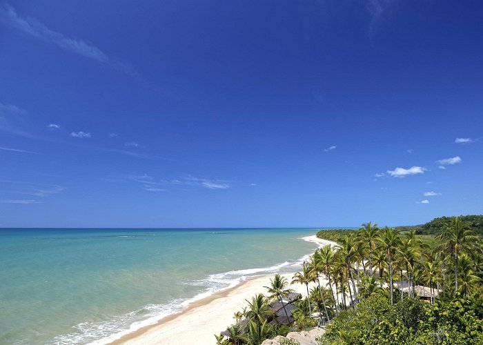 Coqueiros Beach Things to Do in Trancoso in 2024 | Expedia photo