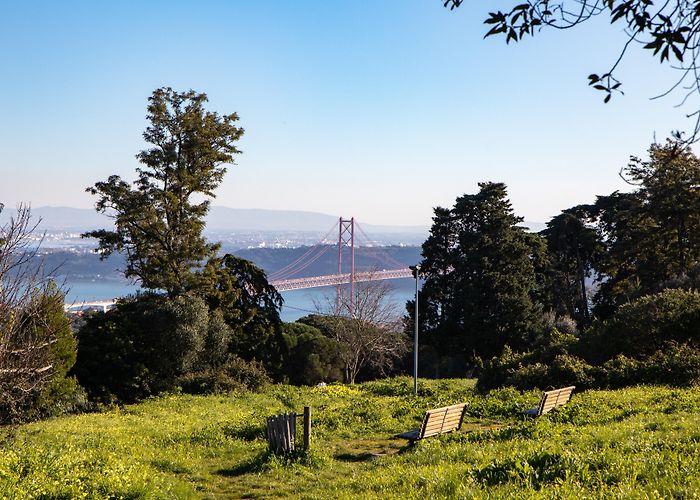Monsanto Forest Park Visit Benfica: 2024 Travel Guide for Benfica, Lisbon District ... photo