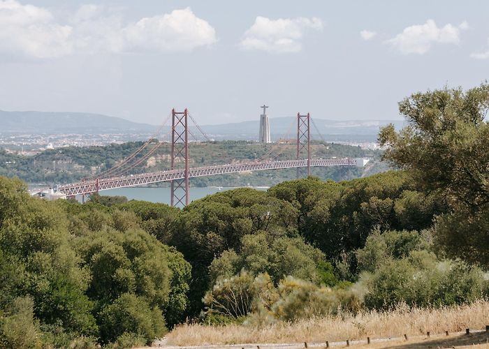 Monsanto Forest Park Visit Benfica: 2024 Travel Guide for Benfica, Lisbon District ... photo