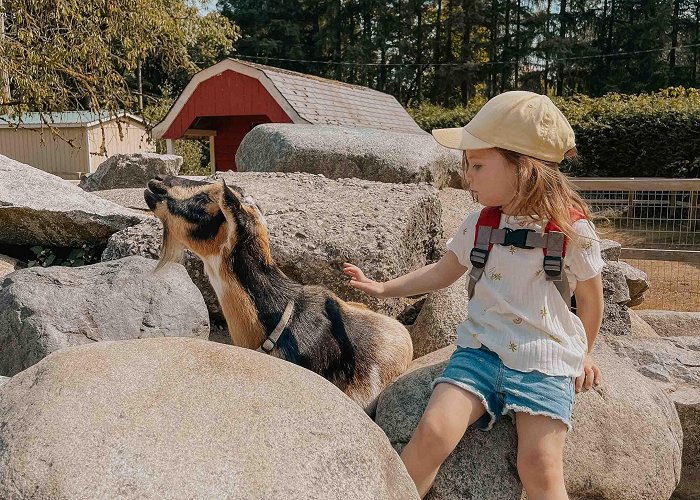 North Vancouver Maplewood Farm 22 Things To Do with Kids in Vancouver photo