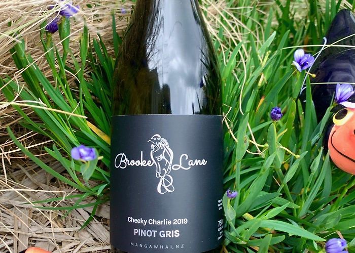 Lochiel Estate Brooke Lane Vineyard photo