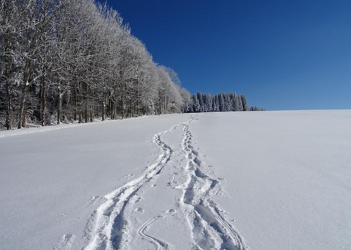 Thurner Ski Lift Thurner on the open spaces of the southern Black Forest • Snowshoe ... photo