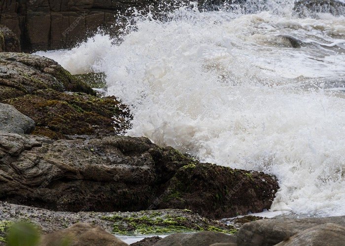 Municipal Park Premium Photo | Strong waves crashing on the rocks of rio das ... photo