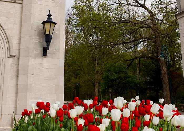 Indiana University Bloomington IU Bloomington ranks highly among Best Global Universities: Arts + ... photo