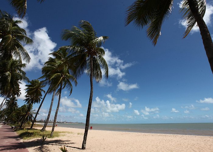 Convention Center of Joao Pessoa Things to Do in João Pessoa in 2024 | Expedia photo