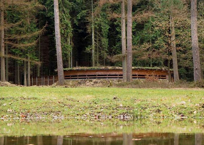 Nieuw Soerel Veluwe in the Netherlands: The Best Things to See and Do photo