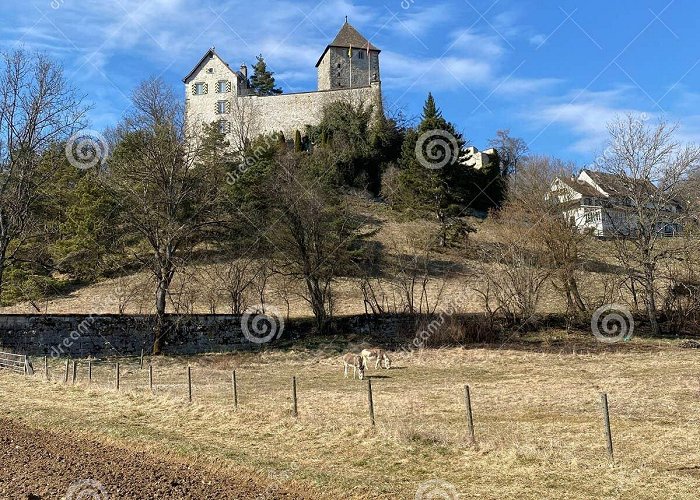 Herblingen Castle Herblingen Stock Photos - Free & Royalty-Free Stock Photos from ... photo