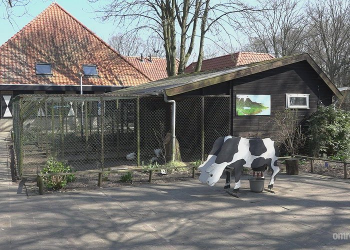 Hagerhof Kinderboerderij Hagerhof in zwaar weer | Omroep Venlo photo