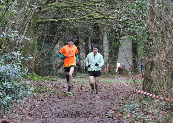 Avondale Forest Park Leinster Intermediate & Masters Cross Country & Juvenile Relays ... photo