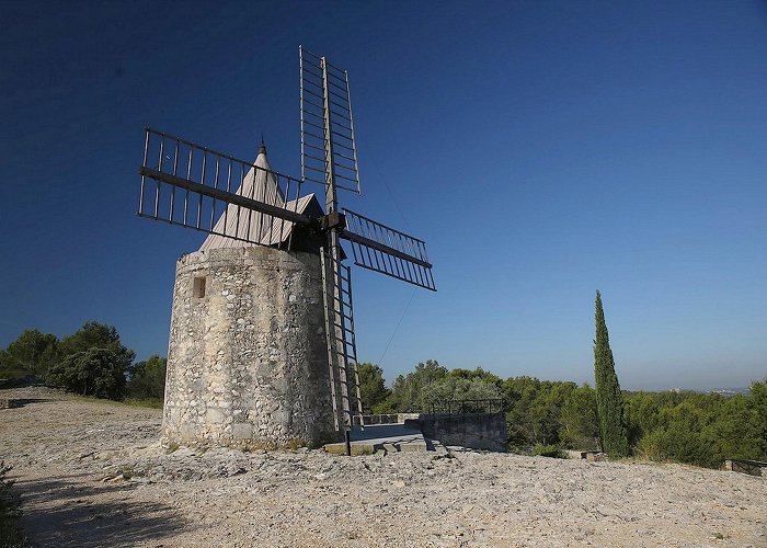 Moulin de Daudet Visits and activities to experience in the heart of the Alpilles photo