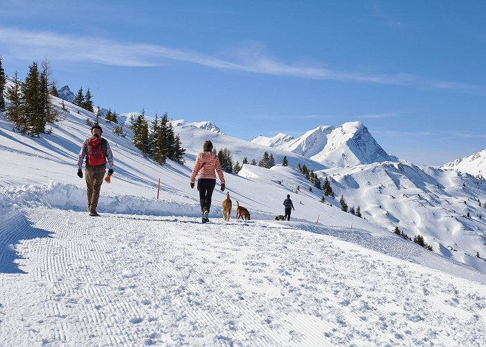Betelberg Betelberg Lenk • Ski Holiday • Reviews • Skiing photo