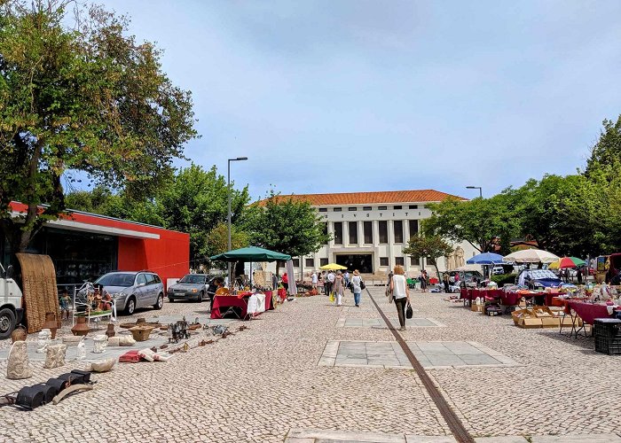 Municipal market Santarém Guide: 3 Of the Best Things to Do - Portugalist photo