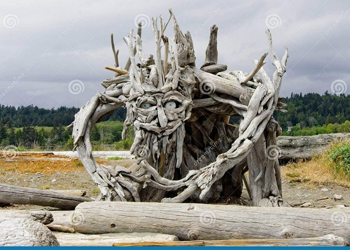 Esquimalt Lagoon Migratory Bird Sanctuary Driftwood sculptures editorial stock image. Image of driftwood ... photo