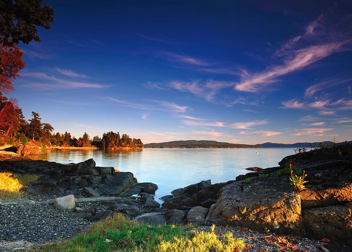 John Dean Provincial Park Things to Do in North Saanich in 2024 | Expedia photo