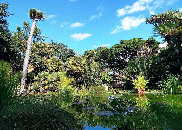 Puerto de la Cruz Casino Botanical Gardens Tours - Book Now | Expedia photo