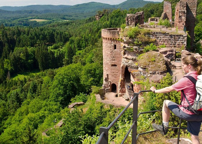 Fleckenstein Castle Conquering Dreierburg Castle | Palatinate photo