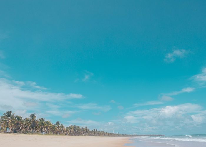 Suape Port Paiva Beach Tours - Book Now | Expedia photo