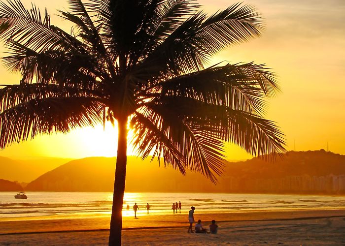 Port of Santos Customs Visit Santos: 2024 Travel Guide for Santos, São Paulo State | Expedia photo