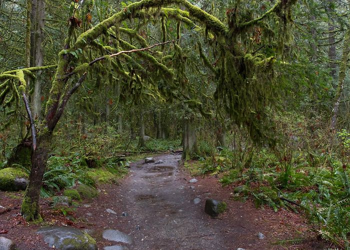 Lynn Canyon Ecology Ctr Hiking Trails in Lynn Canyon Park & Suspension Bridge in Lynn Valley photo