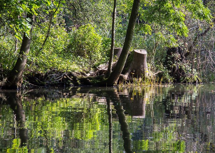 Spreewald-Museum Visit Lübbenau/Spreewald: 2024 Travel Guide for Lübbenau/Spreewald ... photo