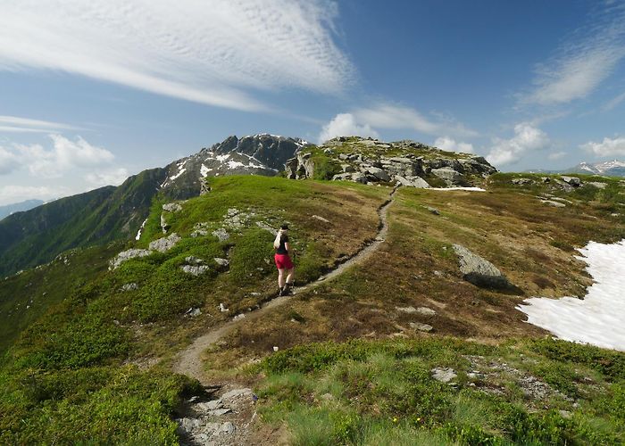 Cima Tognola Across the Cima Tognola • Mountain Hike » outdooractive.com photo
