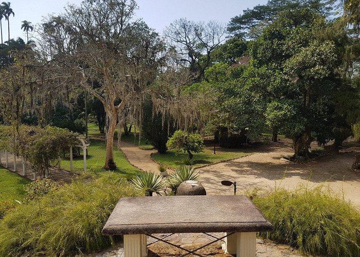 Mesa do Imperador RioéRua: o frei, o jardim e a primavera photo
