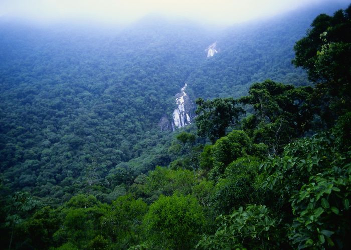 Manaus Courthouse Visit Iranduba: 2024 Travel Guide for Iranduba, Manaus | Expedia photo