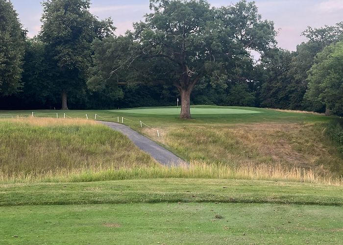 Riverside Golf Course My local club's 96 yard par 3. Over a giant oak tree. : r/golf photo