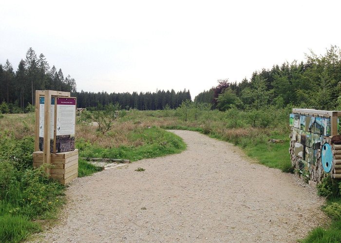 Naturepark of Botrange Educational trail 'The Colours of the Fens' - BERGFEX - Hiking ... photo