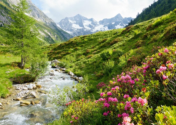 Nationalpark Hohe Tauern Hohe Tauern National Park Tours - Book Now | Expedia photo