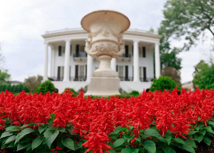 The Church of Jesus Christ of Latter Day Saints Dean's List Students Named for UA Spring 2023 Term - University of ... photo