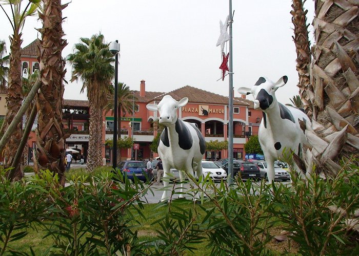 Plaza Mayor Malaga Cows at Plaza Mayor. | Favorite places, Vacation, Places photo