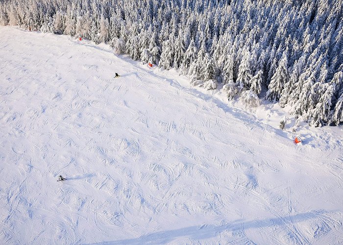 Predigtstuhl II Ski Lift Large Ski Slope with Skiers From Above Free Stock Photo | picjumbo photo