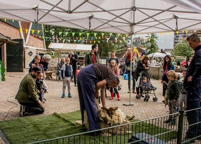 Kinderboerderij De Wesseler Wijkraad Wesselerbrink organiseert tweedaags wijkfeest - Al het ... photo