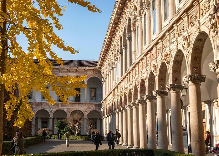 University of Milan My experience at Milan University with a full scholarship photo