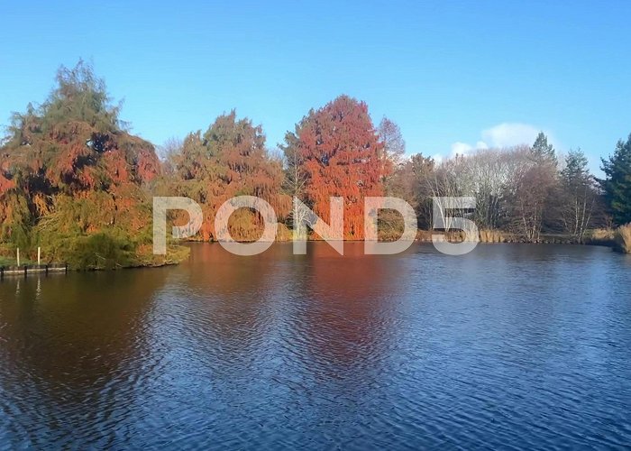 Parc Floral Bordeaux Artificial lake in the Parc floral of Bo... | Stock Video | Pond5 photo