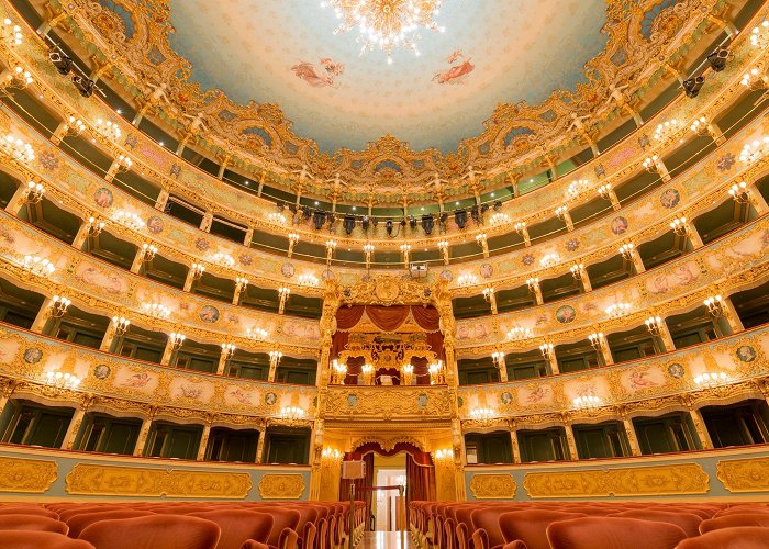 Teatro Central Teatro La Fenice – Opera House Review | Condé Nast Traveler photo