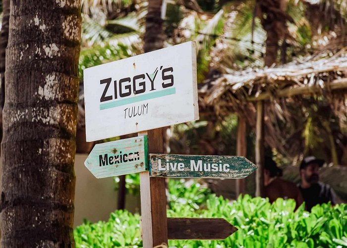 Ziggys Ziggy's Beach Club | THE BEACH TULUM HOTEL photo