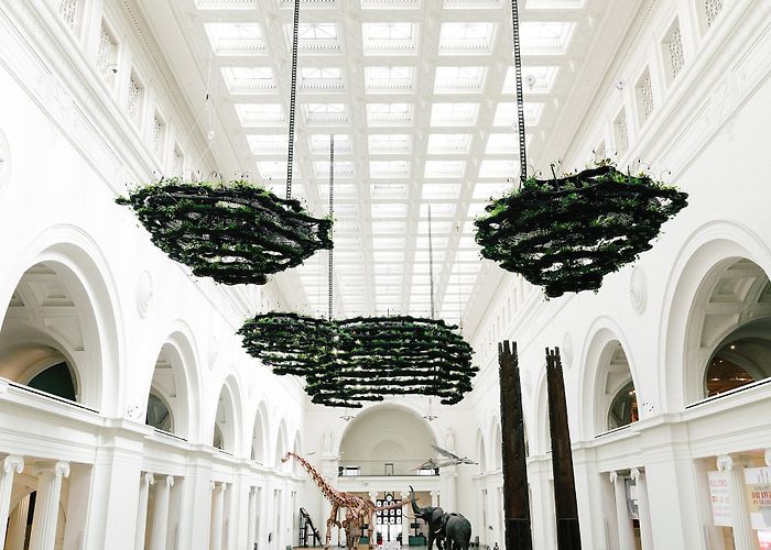 Field Museum of Natural History The Field Museum of Natural History · Sites · Open House Chicago photo