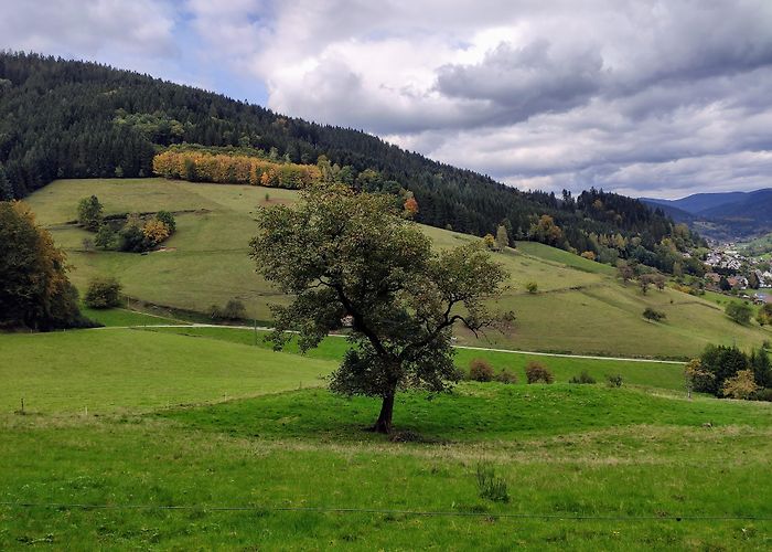 Oberwolfach photo