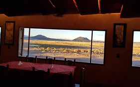 Complejo Pucara Hotel Antofagasta de la Sierra Exterior photo
