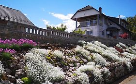 Hotel Szabó Vendégház Villány Exterior photo