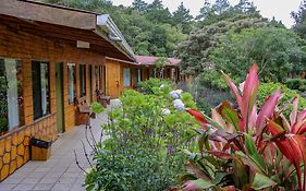 El Bosque Trails&Eco-Lodge Monteverde Exterior photo