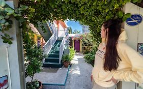 The Desoto - Oceanview Inn Hollywood Exterior photo