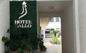 Hotel Gallo Guadalajara Exterior photo