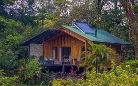 Cabañas Hoja Verde Monteverde Exterior photo