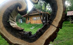 Hidden Garden Kide Villa Cluj-Napoca Exterior photo