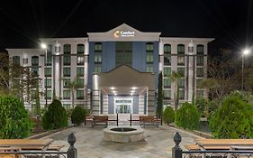 Comfort Inn & Suites New Orleans Airport North Kenner Exterior photo