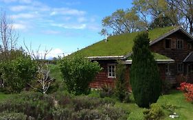 Zapato Amarillo Bed & Breakfast Bed and Breakfast Puerto Octay Exterior photo